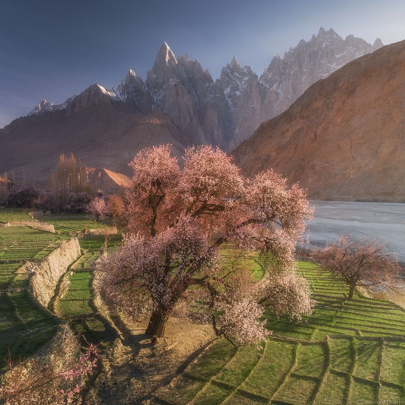 Pakistanphoto preview