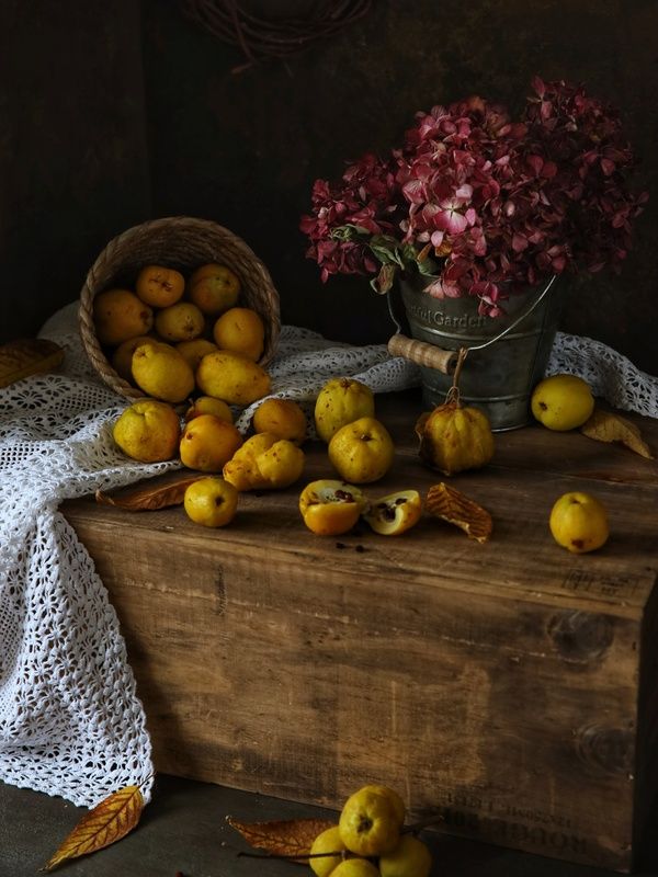 Айва японская  фото превью