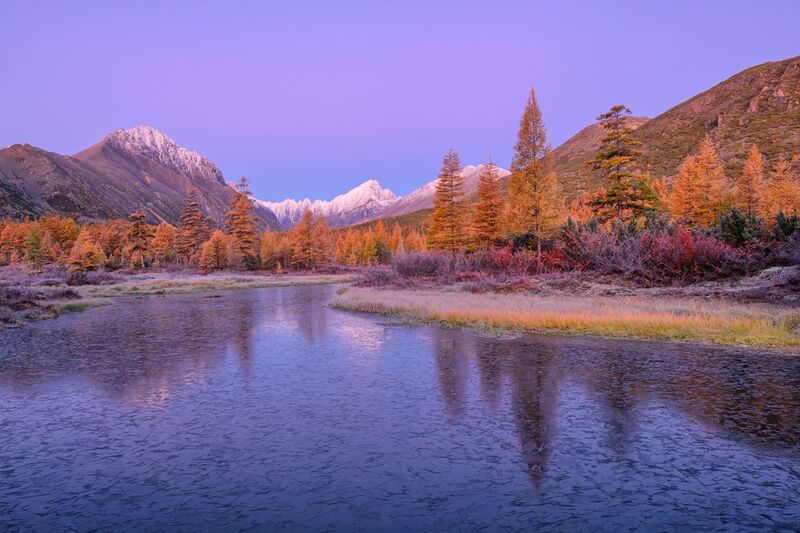 озеро джека лондона Сиреневое утро...photo preview