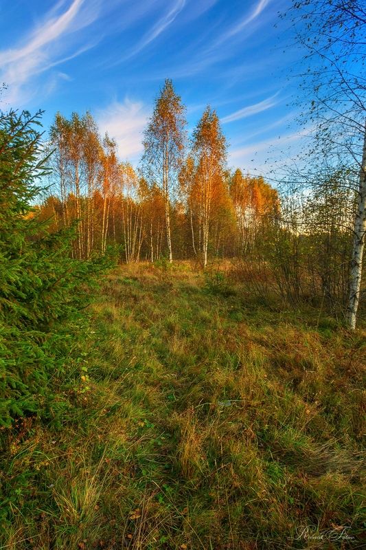 Костромской край.photo preview