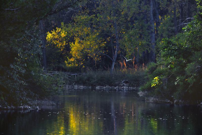 Angolo di lucephoto preview