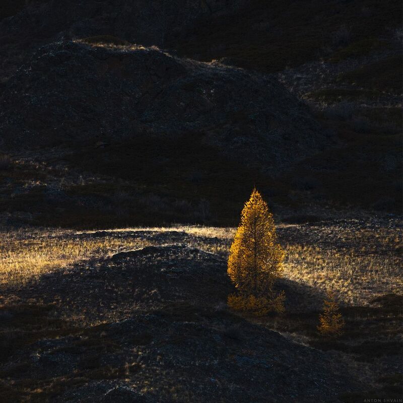 Золото Алтаяphoto preview