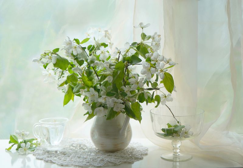 Яблоня в цвету фото превью