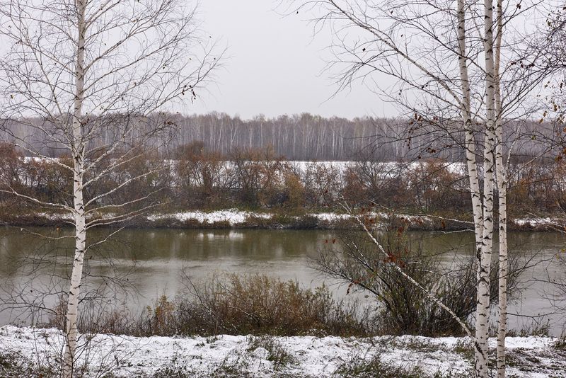 Последние остатки цветаphoto preview