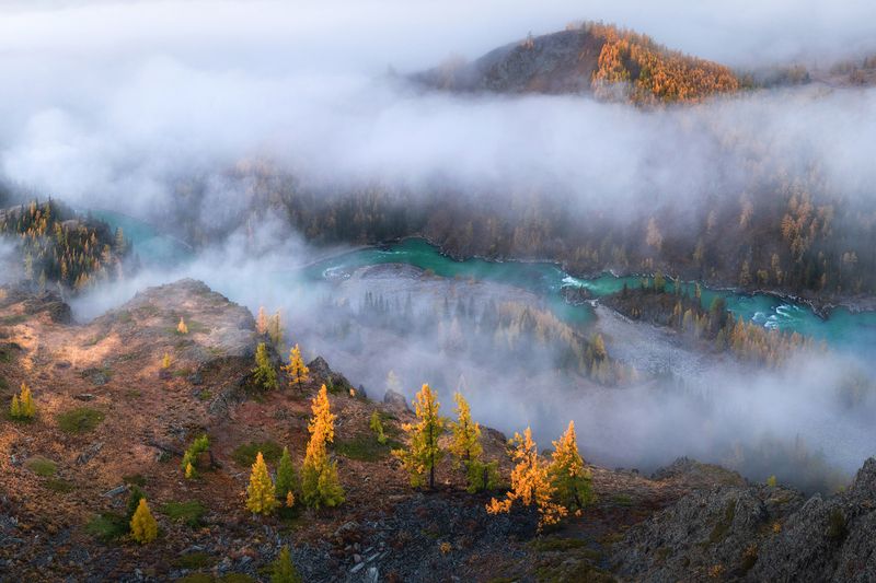 алтай, горный алтай, пейзажи алтая, кош-агачский район, горная река, золотая осень, горы, осенний алтай, горная тайга Над обрывомphoto preview