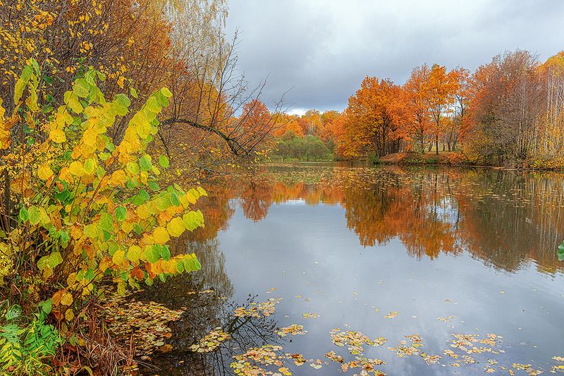 Бабье лето.photo preview