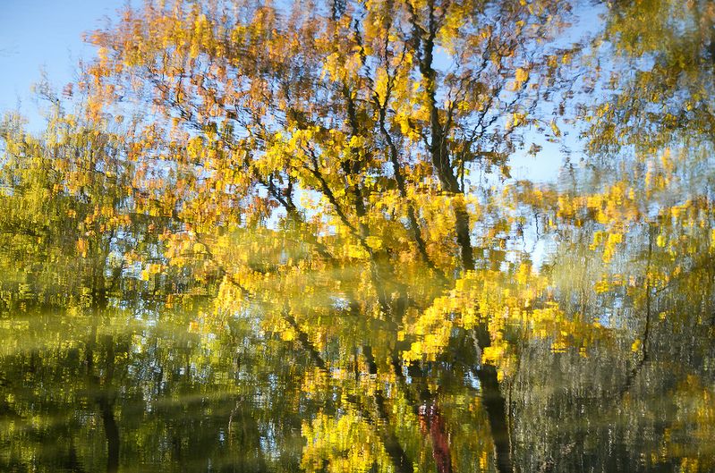 золотая осень, отражения Отраженияphoto preview
