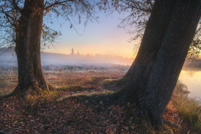 Октябрьский рассвет с тополямиphoto preview