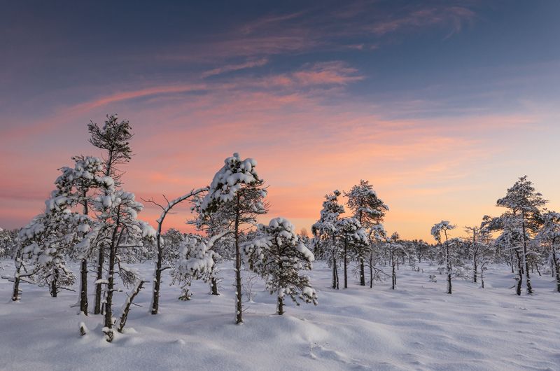 Морозное утроphoto preview