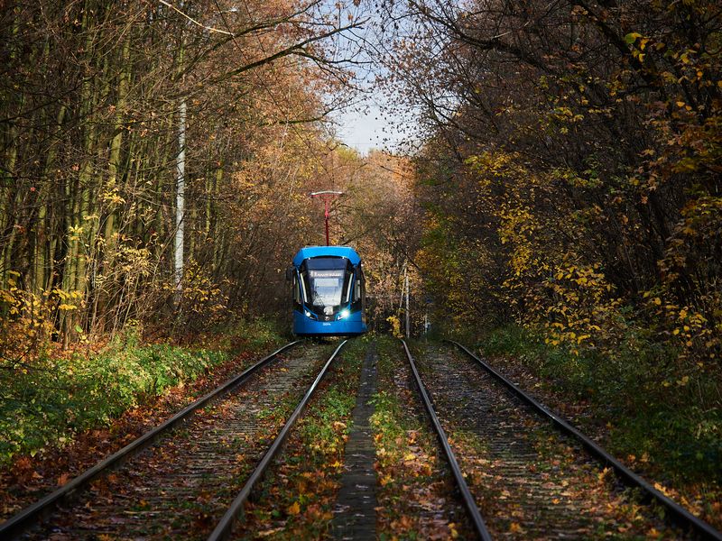 Москва, Сокольники Ухватить золотую осеньphoto preview