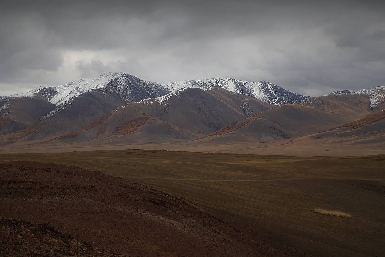 , Евгений Зинов