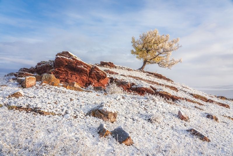 Первый снегphoto preview