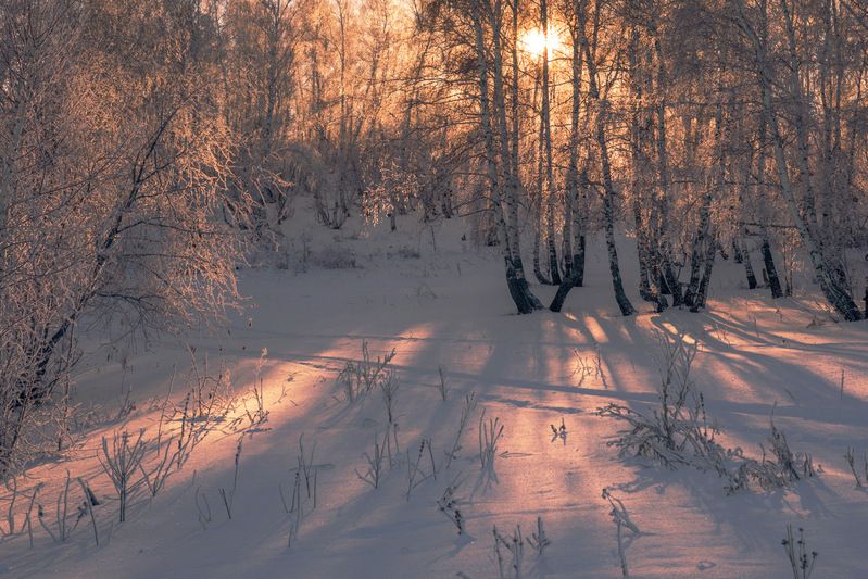 розовый вечерphoto preview