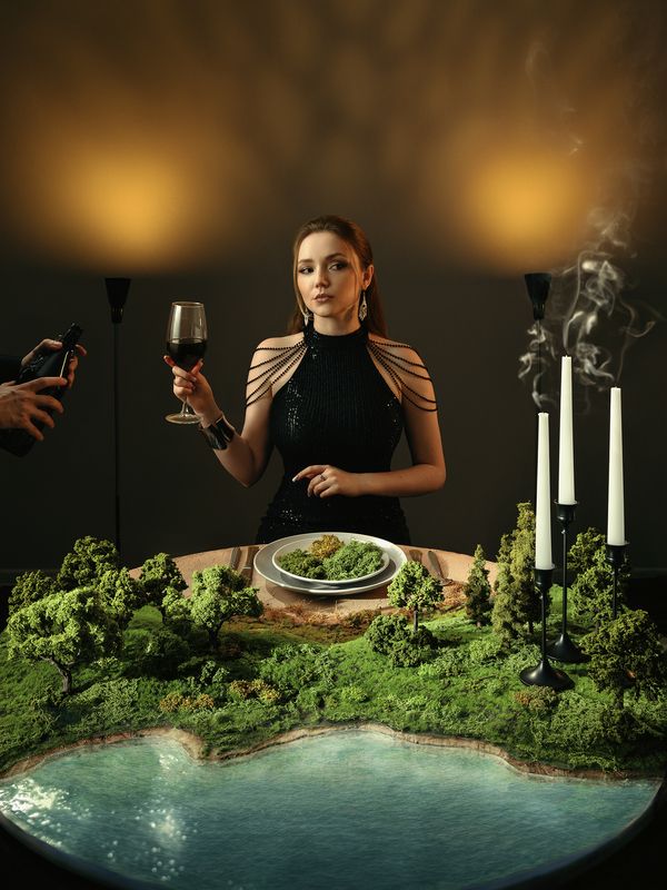 экология, лицемерие, постановочная, фотография, диорама, девушка, ужин, природа, атмосфера, свечи, платье, Парышков, Nikon Z8, 28-75, Экологичный ужинphoto preview