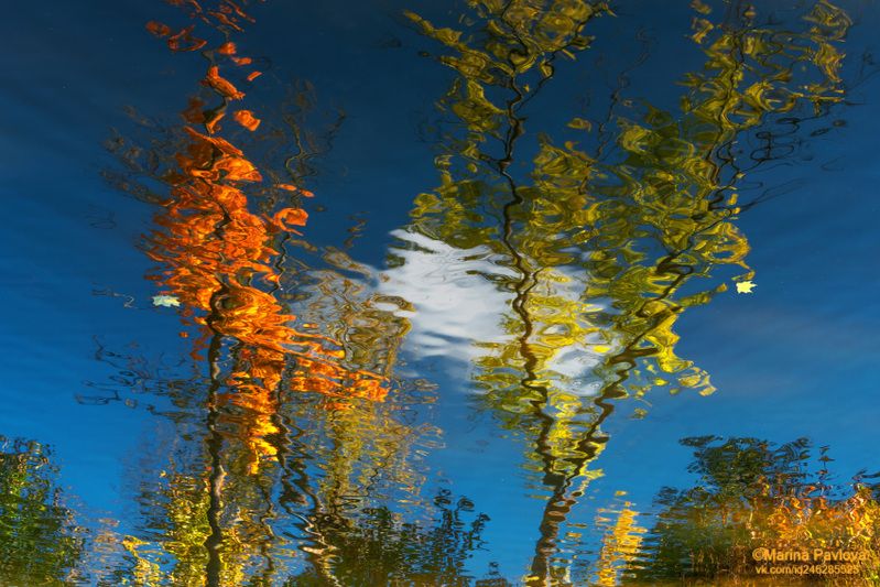 абстракция, акваабстракция, акваграфика, отражение на воде, осенние отражения, шапельный пруд, александровский парк, город пушкин Сердитое осеннее облако...photo preview