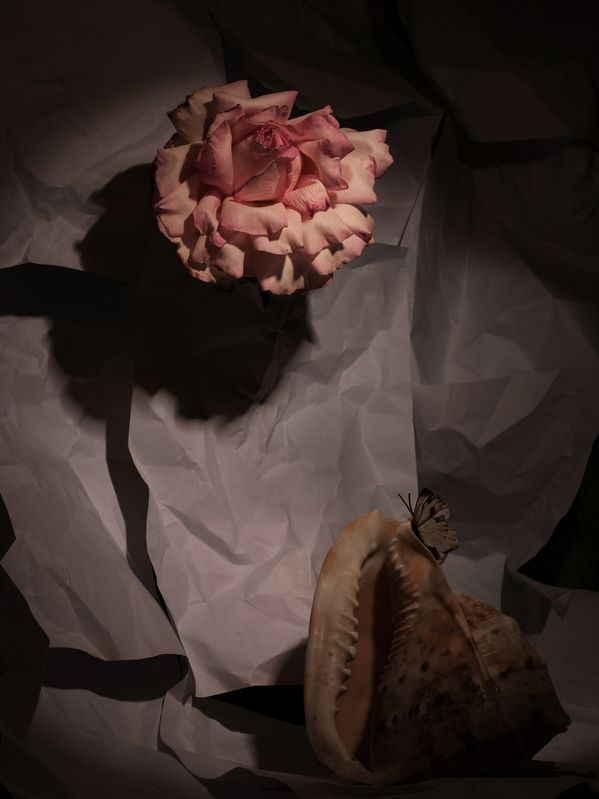 Бумага photo preview