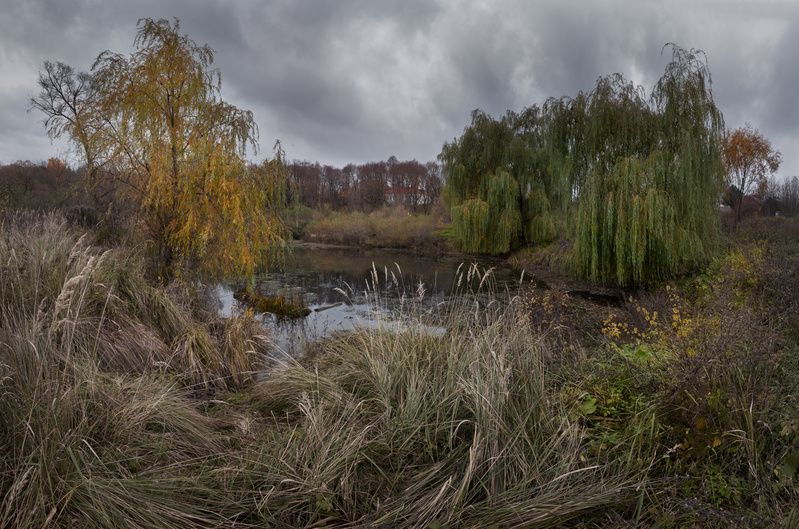 пруд, день, октябрь, природа, тульская обл. ***photo preview