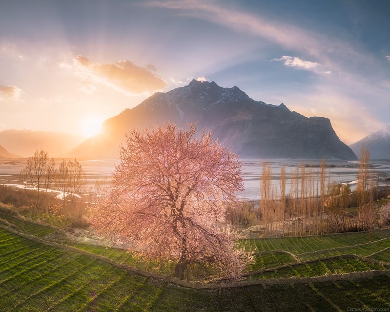 Pakistanphoto preview