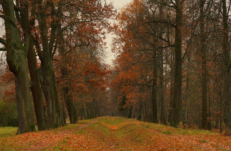 Octoberphoto preview