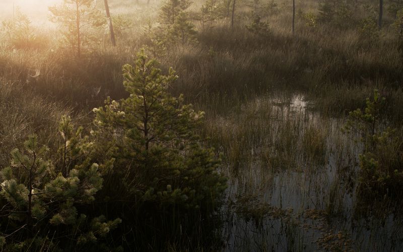 Август 2025. photo preview