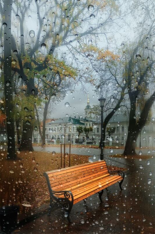 осень, город, дождь, парк Унылая пора...photo preview