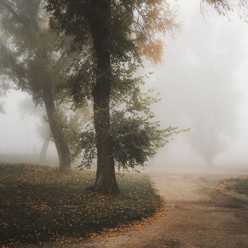 туман, утро, осень, парк, деревья, туманное утро, пейзаж, тишина, туман в парке, листья, природа, атмосфера, дорога, человек в тумане, мягкий свет, утренний туман, настроение, осенний пейзаж, покой, одиночество, мист, fog, morning, autumn, mood, nature, c Туманное утроphoto preview