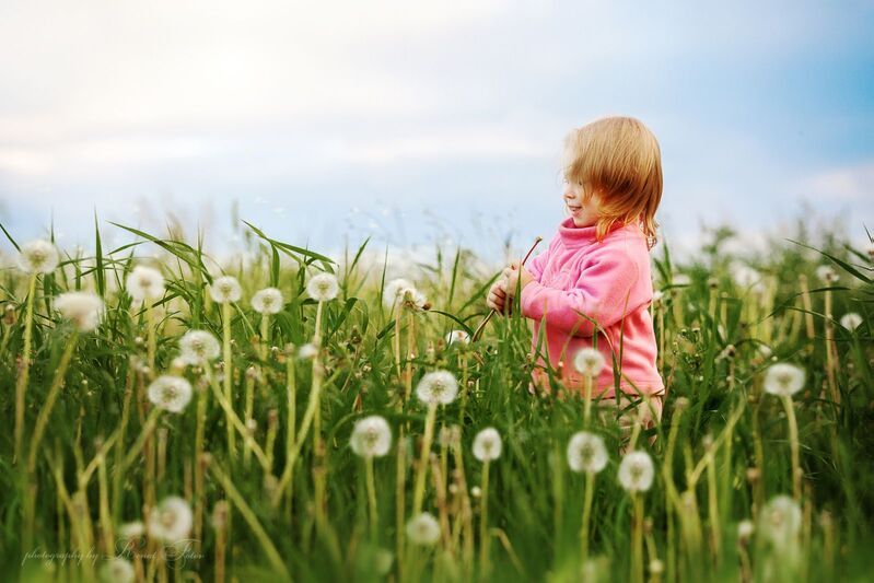 «Счастье нельзя купить. Но его можно родить!» (Элеонора Рузвельт)photo preview