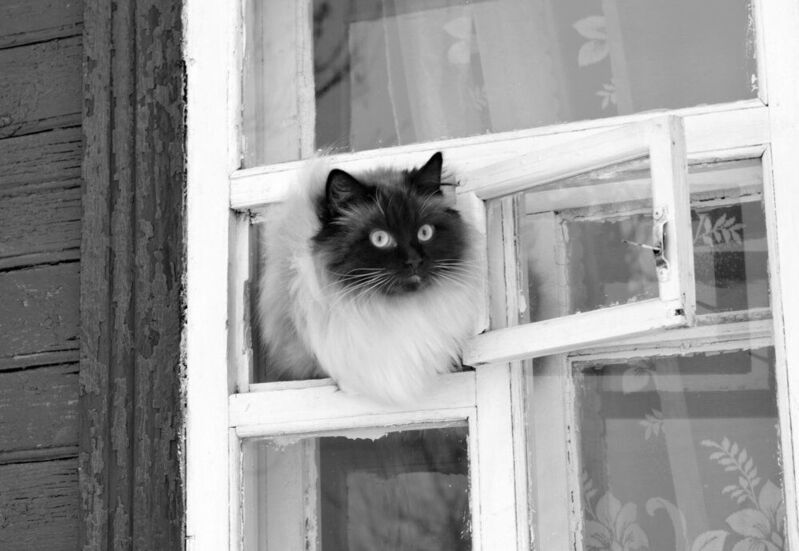 Прогулка....photo preview