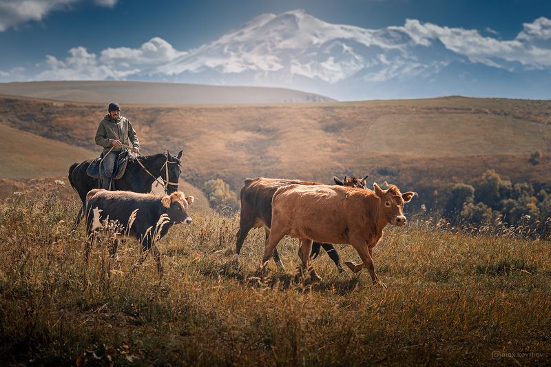 эльбрус, горы, кавказ, кчр photo preview