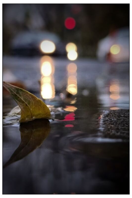 Настроение - осень... (3)photo preview