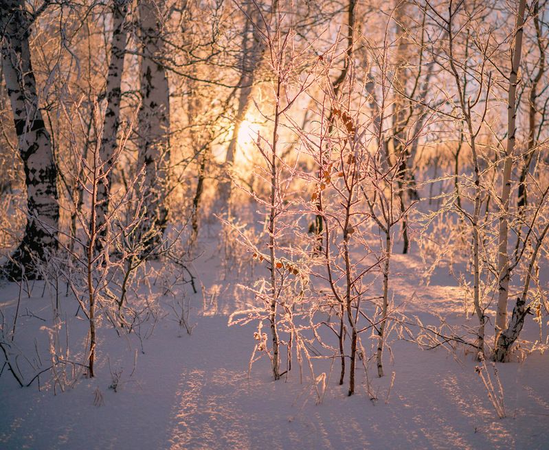 не забывай тот теплый вечер..photo preview