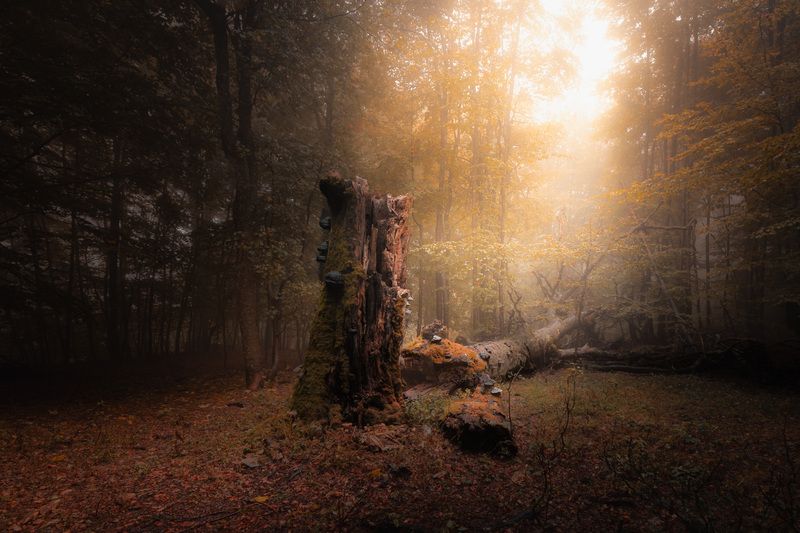 After the storm, fog againphoto preview