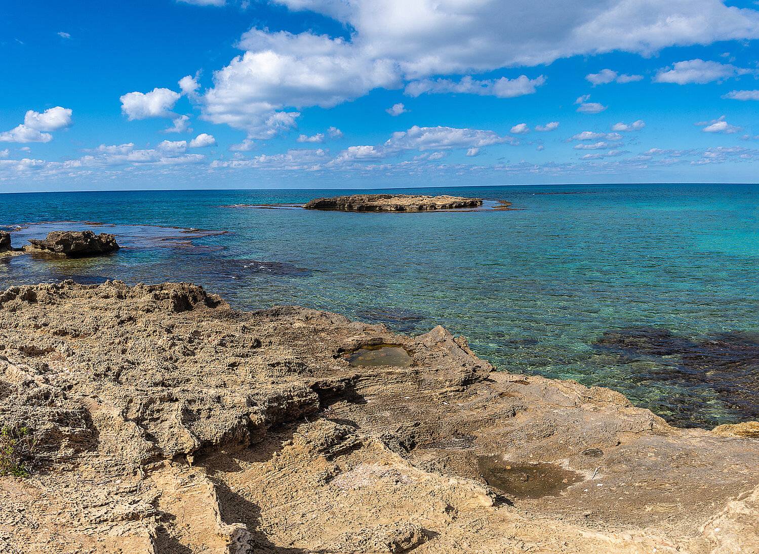 , Vladimir Bragilevsky