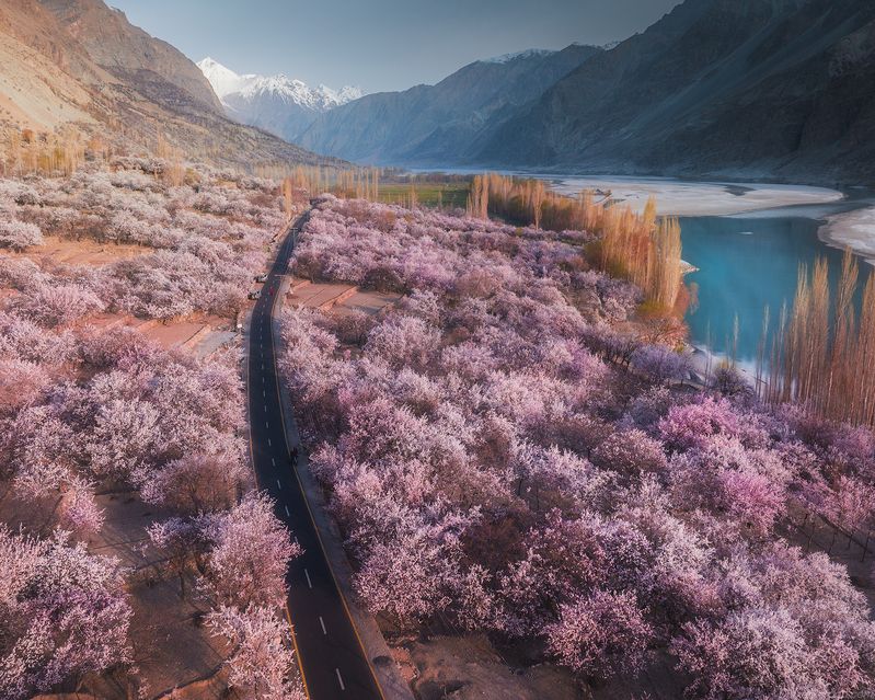 Pakistanphoto preview