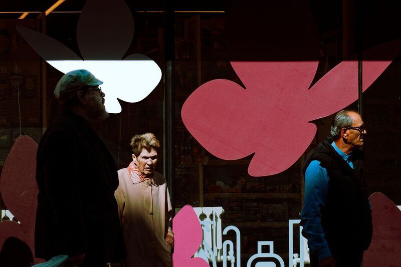 Чуть пожухшие цветы жизниphoto preview