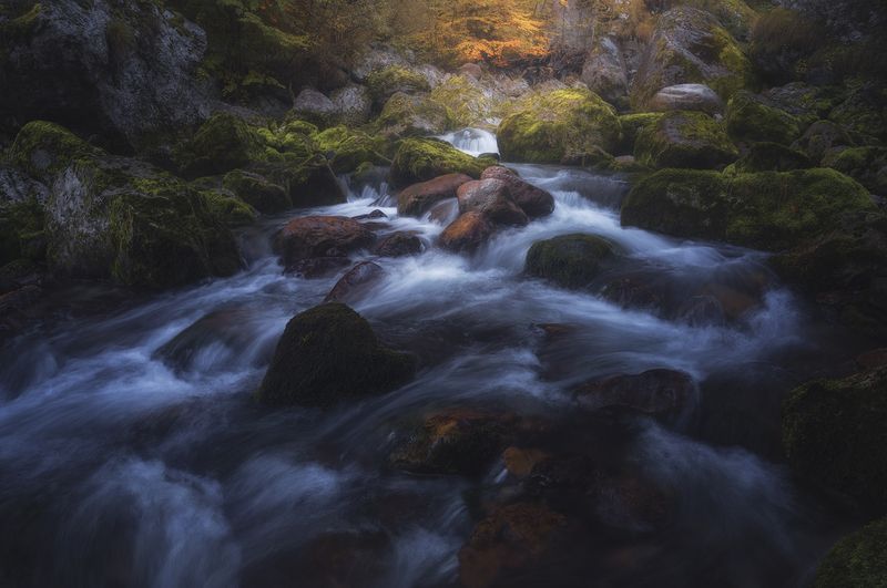 Where the River Dreamsphoto preview