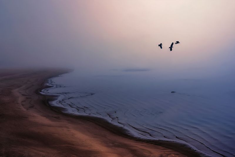 осень, туман, берег, кромка, река, волны, птицы Пролетая в тумане...photo preview