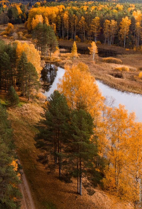 валдай И тропинка, и лесок...photo preview