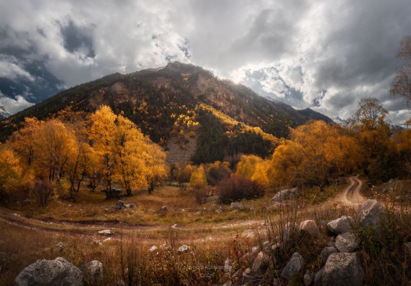 горы, кчр, золотая осень photo preview