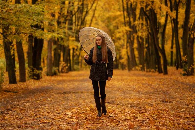 Осеньphoto preview