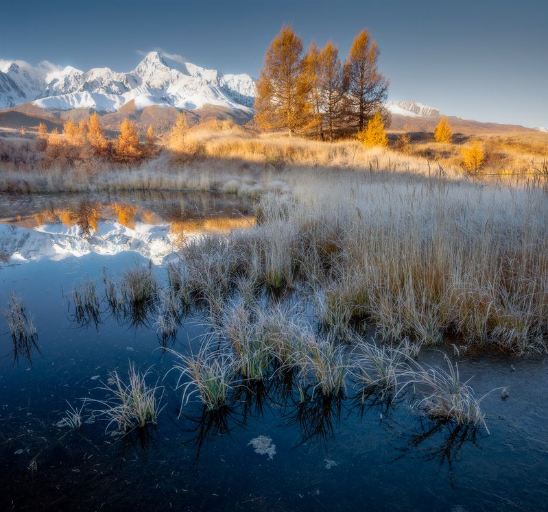 алтай, утро, свет, солнце, горы, озеро Солнечное утро на озере. фото превью