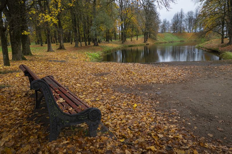 Осенняя хандра.photo preview