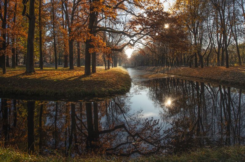 питер, пушкин, царское село, царское,  landscape, tsarskoye selo, autumn, туман, городской пейзаж, autumn, санкт-петербург, закат, александровский парк Царскосельская осеньphoto preview