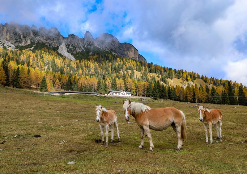 Осень в Доломитах 5photo preview