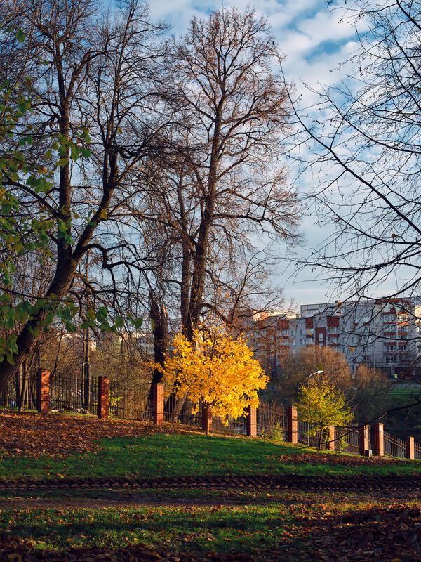 Остаток осениphoto preview