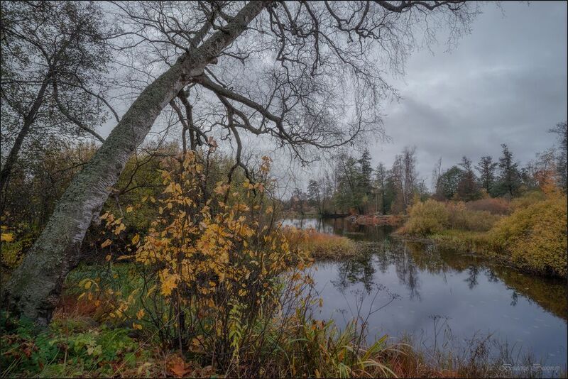 Осенняя зарисовка (на р. Вуокса)photo preview