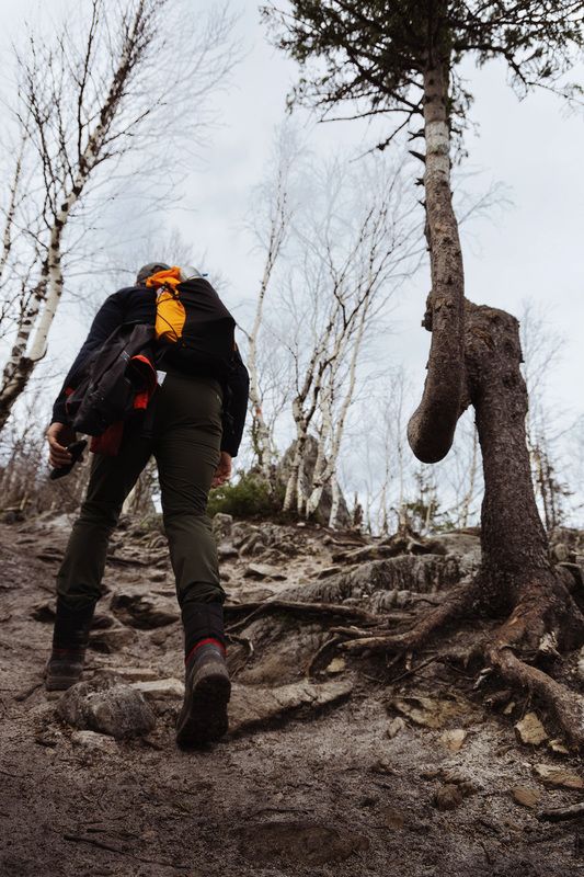 Таганай, Перья, Двуглавая сопка, Южный Урал, Урал Подъем на Перья (Двуглавая сопка), Нац. Парк Таганйphoto preview