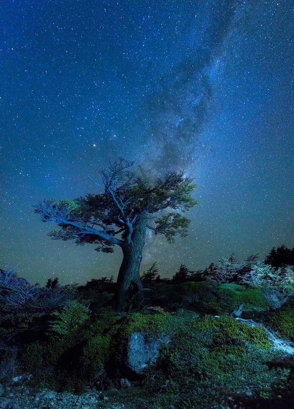 Примеряя галактикуphoto preview