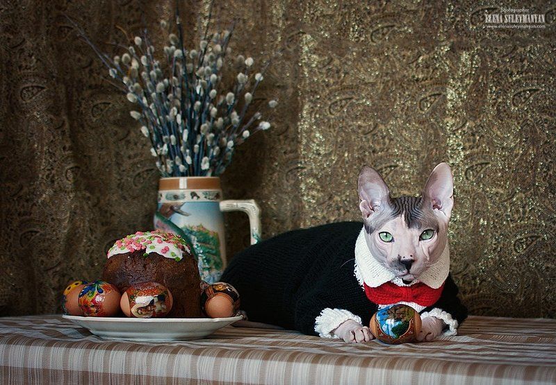 Всех со светлым праздником Пасхи!photo preview