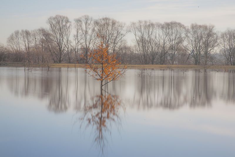 Половодье, весна, апрель, отражения Немного солнца в холодной водеphoto preview